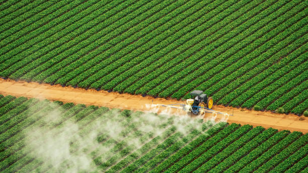 Pest Control Cost in Forest Acres, SC