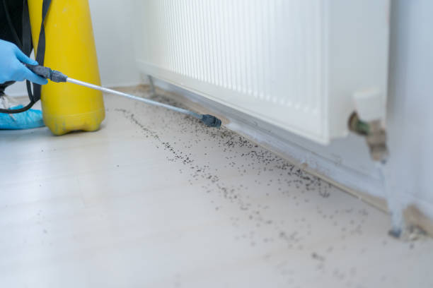 Best Cockroach Control Services  in Forest Acres, SC