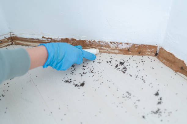 Best Pest Removal Services  in Forest Acres, SC