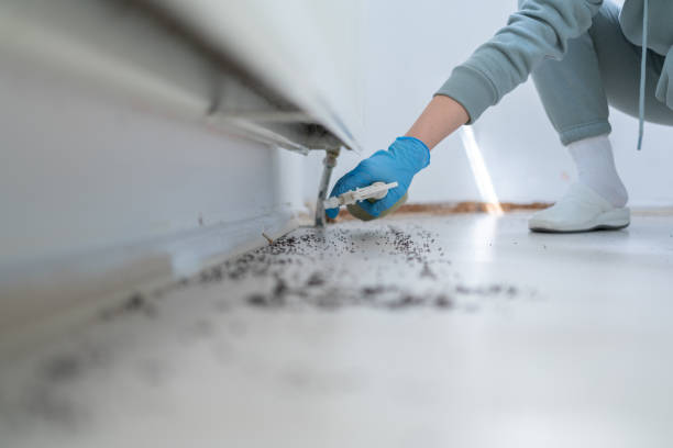 Wildlife Control Services in Forest Acres, SC