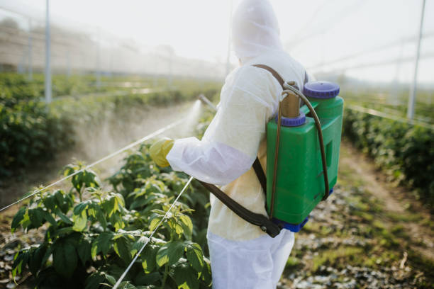 Best Emergency Pest Control  in Forest Acres, SC